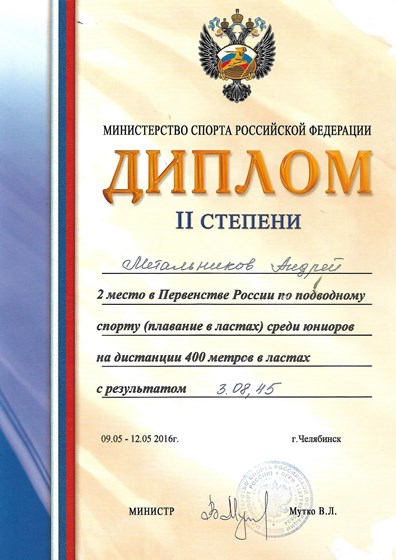 Спорт: Достижения в спорте